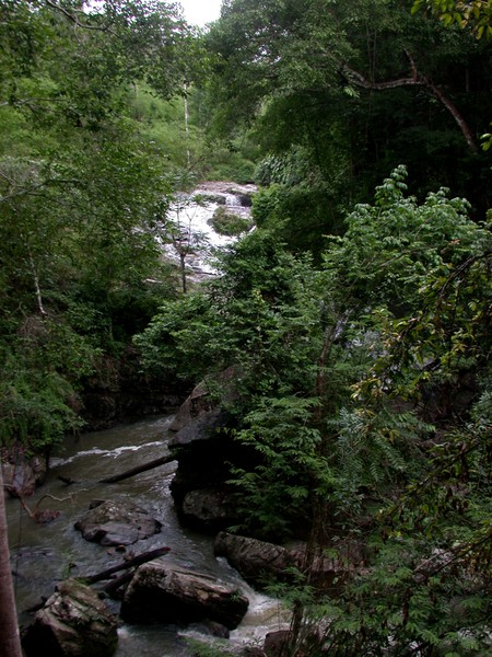 Creek